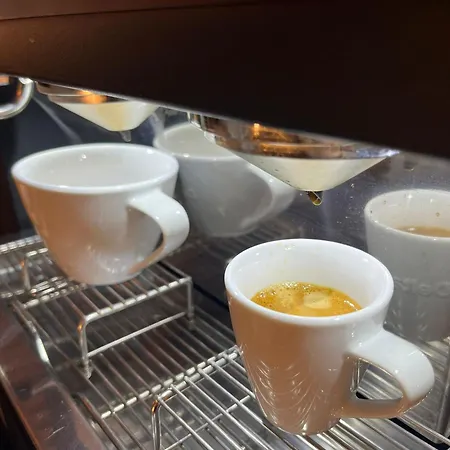 Hotel Golden 4*
